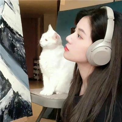 一本正经